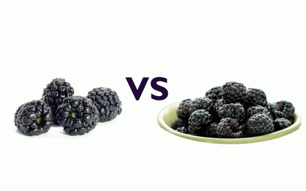 Black Raspberry vs. Blackberry: What's the Difference?, blackberry